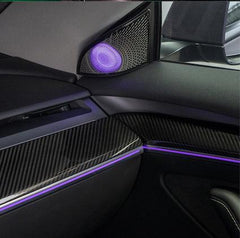 Laser Engraving Atmosphere Light for Model3/Y (Only In-Store Installation) - TESDADDY
