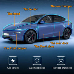 Film coverage on hood, doors, fenders, and bumpers clearly marked.