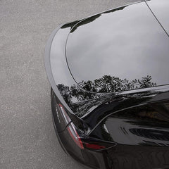 Performance Spoiler for Model 3 - TESDADDY
